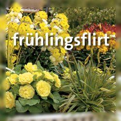 Fr&uuml;hlingsflirt Link Buttons