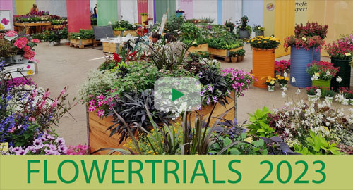 Kientzler auf den Flowertrials 2023