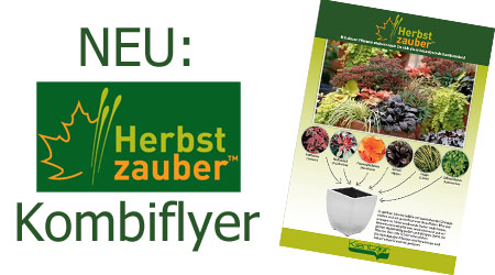 Kientzler Kombiflyer Herbstzauber